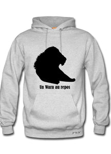 UN LION AU REPOS